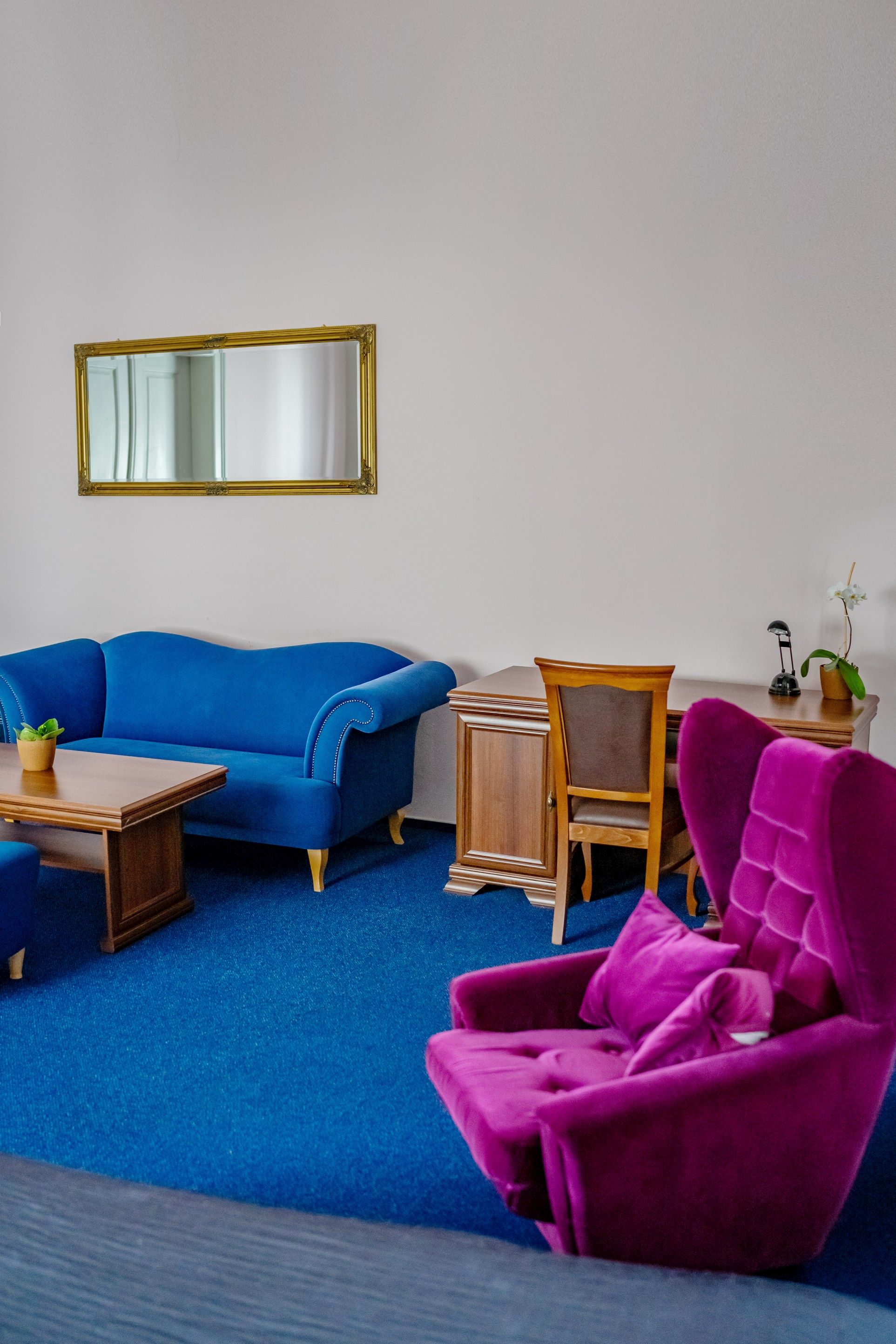 Suite 5