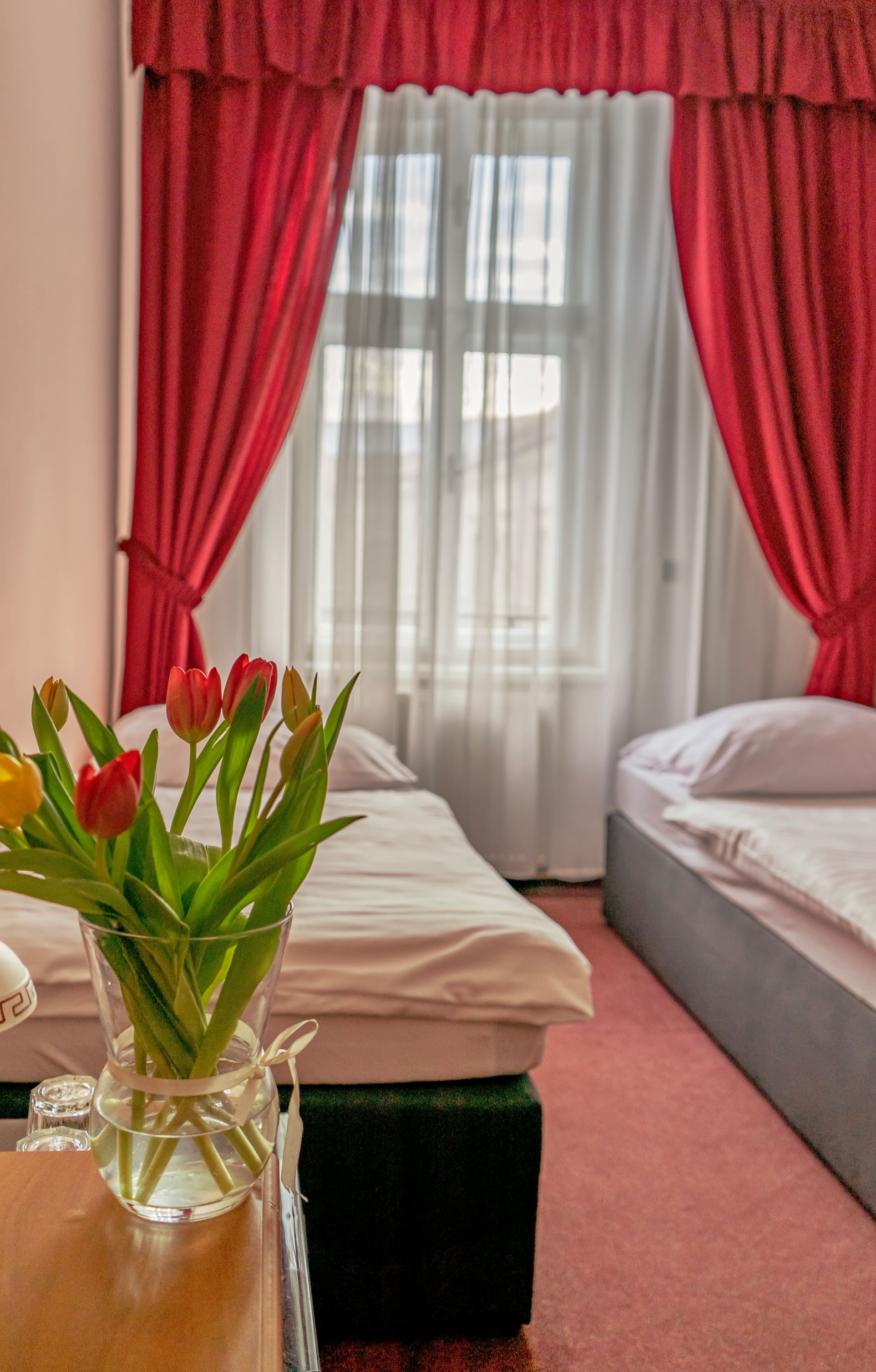 Single room 1